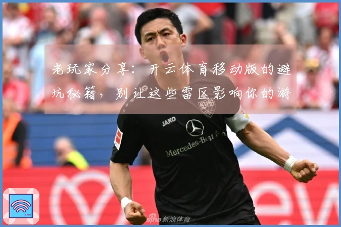 老玩家分享:开云体育移动版的避坑秘籍,别让这些雷区影响你的游戏体验